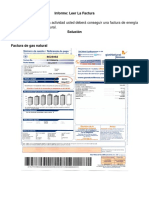 Informe Leer La Factura D