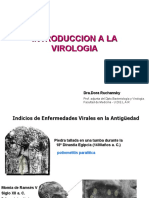 introvir2011.pdf