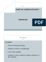 ANATOMY OF CARDIOVASCULAR 1.pdf