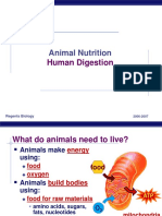 Animal Nutrition: Human Digestion