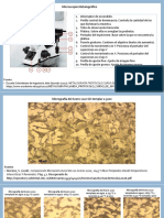 Comparación Microestructural Aceros 1020 1045