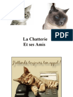 Chatterie Et Ses Amis