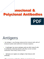 Monoclonal & Polyclonal Antibodies