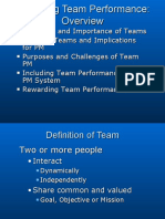 Team performance.ppt