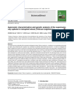  Agronomic characterization and genetic analysis of the supernumerary spikelt in tetraploid wheat