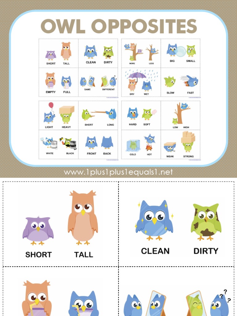 owl-opposites-flashcards-pdf-cooking-food-wine