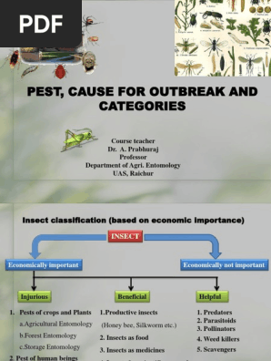 Week 1 02 Insect Classification Based On Economic Importance Pest Organism Agriculture