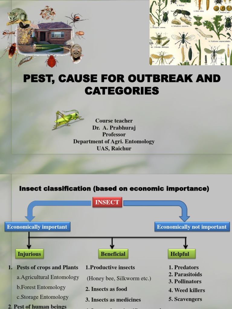 Economic Classification of Insects | PDF | Pest (Organism) | Agriculture