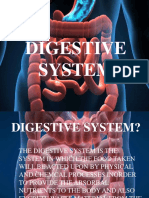 Austin Digestive System