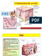 anatomiayfisiologiadelapiel131114122848phpapp02