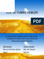 Kök Ve Yumru Yemler Balast Yemler 5