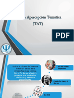 Test de Apercepcin Temticatat