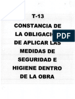 Anexo 17. - t.13. - Seguridad e Higiene - Censurado C.L.