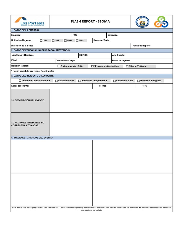 Formato FLASH Report