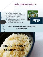 Almidon de Arroz