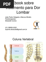 eBook Dor Lombar Ebsaude Cursos