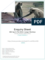 Enquiry Sheet: BBC Spy in The Wild - Langur Monkeys