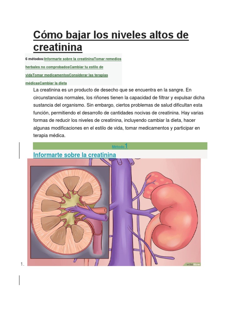 Cómo Bajar Los Niveles Altos de Creatinina Diálisis Alimentos