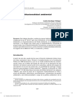 Institucionalidad Ambiental en Chile.pdf