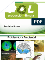 Producción Limpia