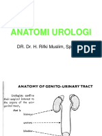 Anatomi Urologi: Dr. Dr. H. Rifki Muslim, SPB, Spu