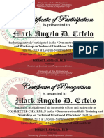 Certificate of Participation: Mark Angelo D. Erfelo