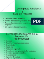 EIA y Ciclo Del Proyecto