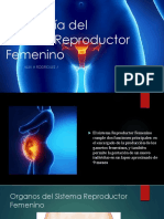  Biologia (sistema reproductor femenino)