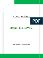 Manual Gis - Nivel I