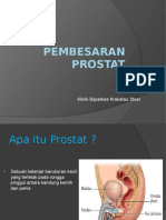 Benign Prostat Hiperplasia