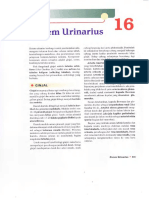 Bab 16 - Sistem Urinarius PDF