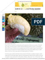 The Complete Guide To 234 Thailand Durian Varieties