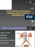 Pemeriksaan Penunjang Radiologi Pada Kelainan Urogenital