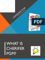 Powerpoint Cherifer
