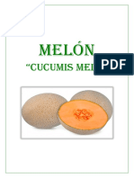 MELÓN