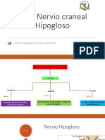 Hipogloso