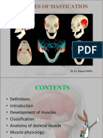 Muscles of Mastication