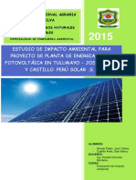 Estudio de Impacto Ambiental - Planta de Energia Solar Tulumayo - Terminado