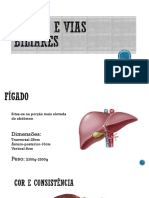 Fígado e Vias Biliares