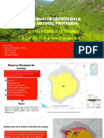 PROBLEMAS DE GESTION RNL - BIODIVERSIDAD URP KV (1).pptx