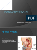 Pembesaran Prostat