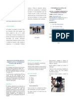 TRIPTICO PROYECTO