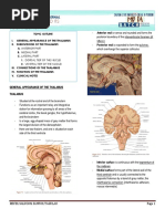 Chapter 12 The Thalamus and Its Connections