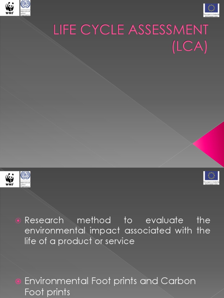 Life Cycle Assessment Overview | PDF | Life Cycle Assessment | Business