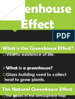 Greenhouse Effect