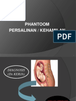 Phantoom Persalinan - Kehamilan