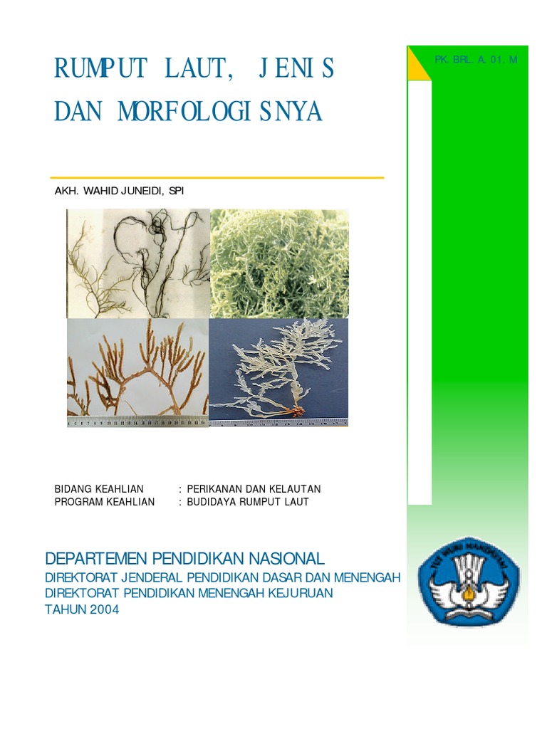 Morfologi dan Jenis Rumput Laut | PDF