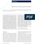 11.a Possible Biomechanical Role of Occlusal Cusp-Fossa Contact Relationships