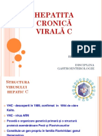 Curs_Berliba_HCV_20146518011583088869164.ppt