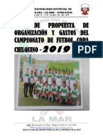 Plan de Trabajo Copa Chilcas 2019